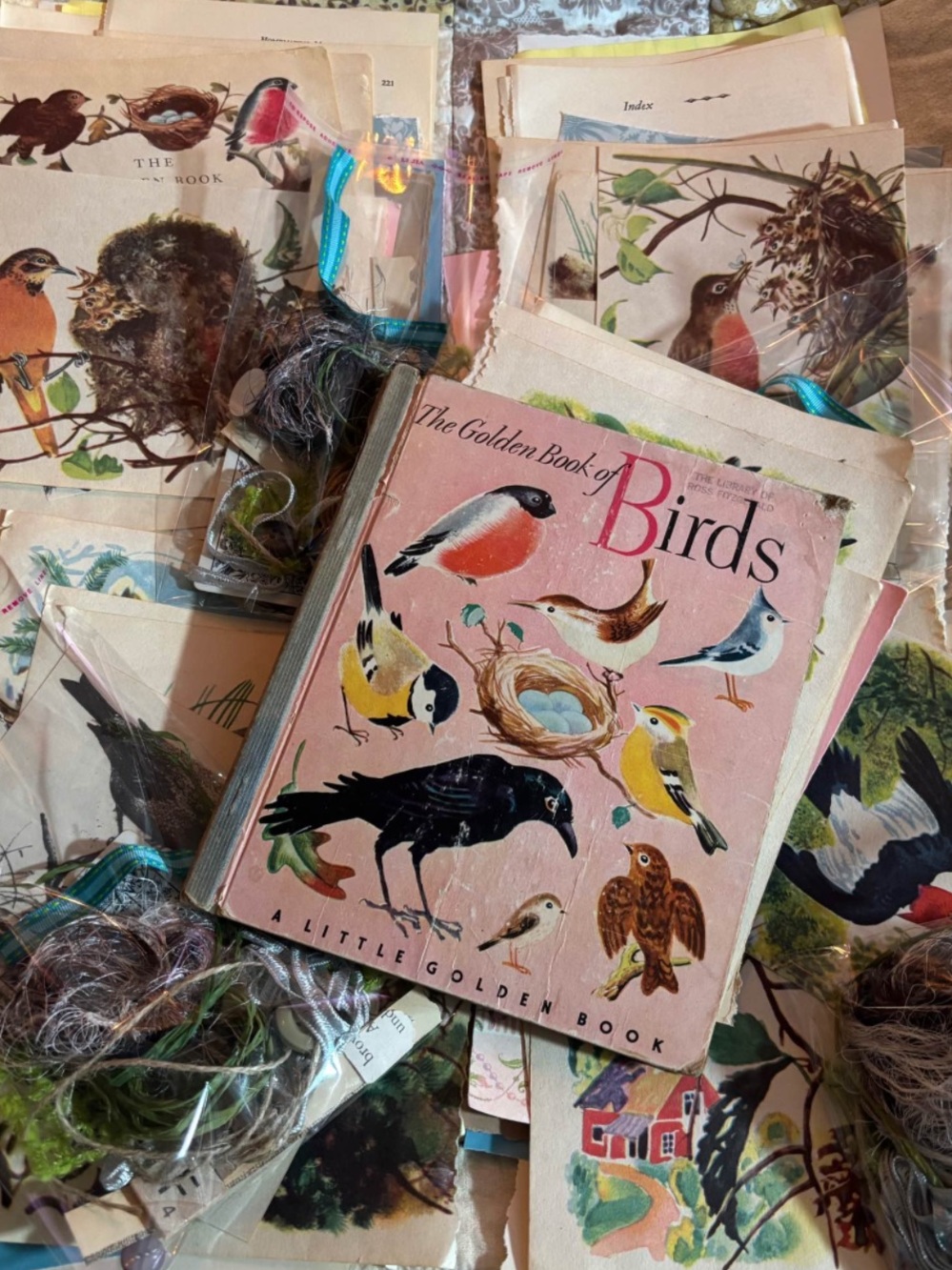 Vintage golden book of birds paper ephemera